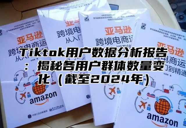 Tiktok用户数据分析报告：揭秘各用户群体数量变化（截至2024年）