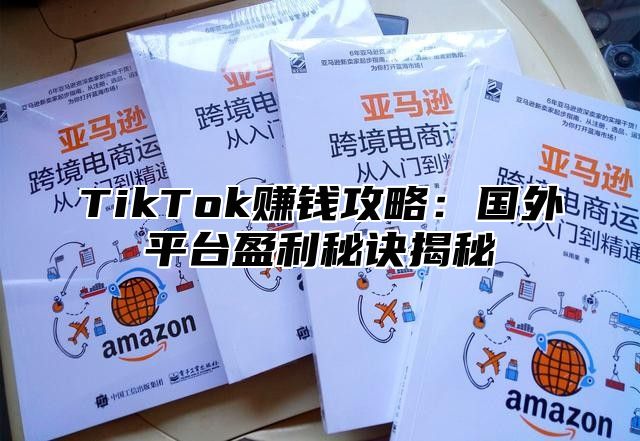 TikTok赚钱攻略：国外平台盈利秘诀揭秘