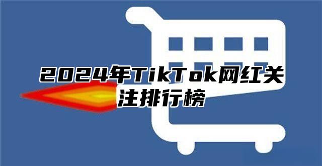 2024年TikTok网红关注排行榜