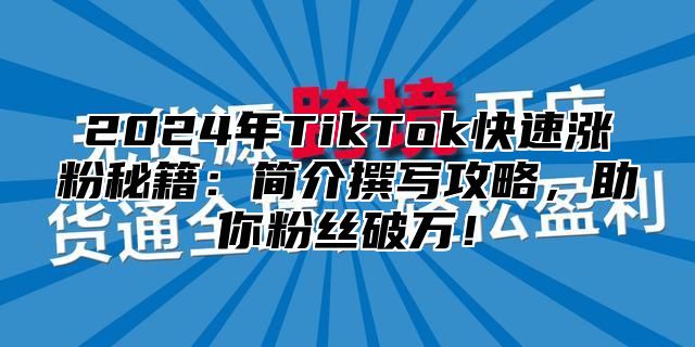 2024年TikTok快速涨粉秘籍：简介撰写攻略，助你粉丝破万！