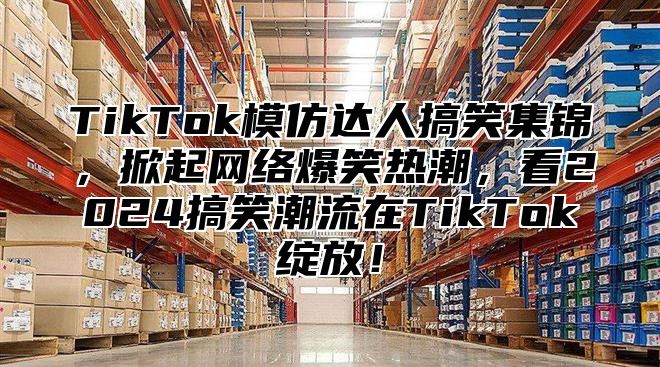 TikTok模仿达人搞笑集锦，掀起网络爆笑热潮，看2024搞笑潮流在TikTok绽放！