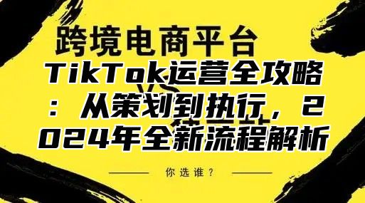 TikTok运营全攻略：从策划到执行，2024年全新流程解析