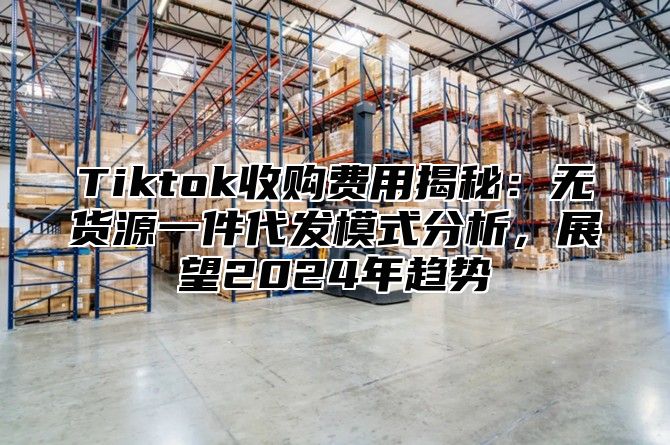 Tiktok收购费用揭秘：无货源一件代发模式分析，展望2024年趋势