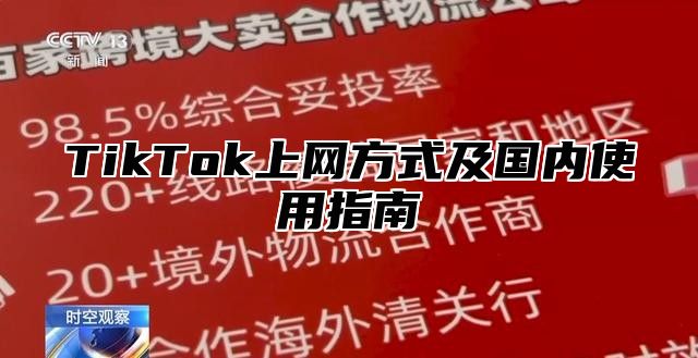 TikTok上网方式及国内使用指南