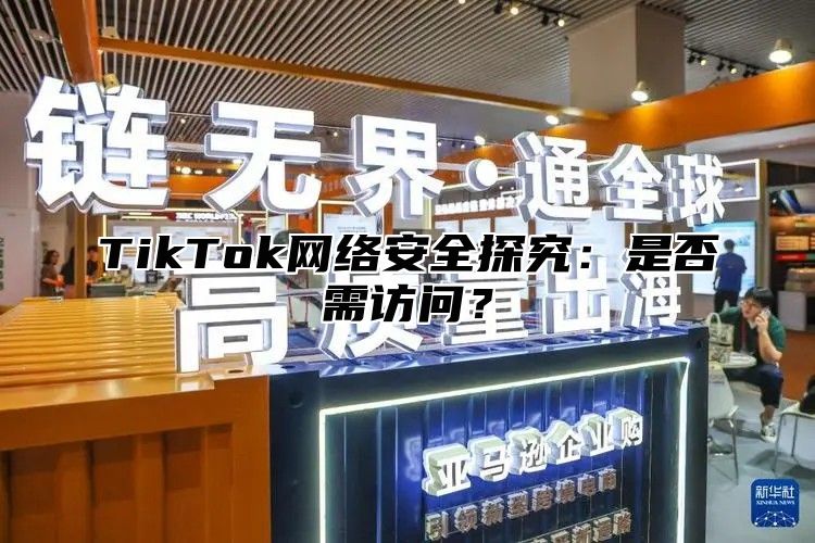 TikTok网络安全探究：是否需访问？