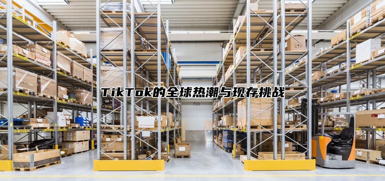 TikTok的全球热潮与现存挑战