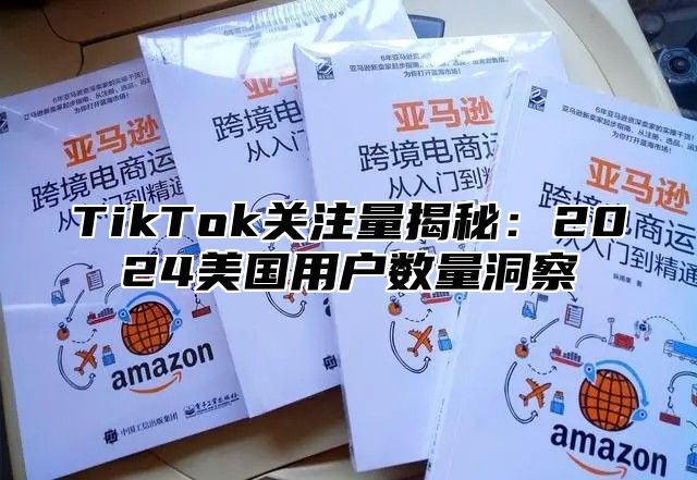 TikTok关注量揭秘：2024美国用户数量洞察