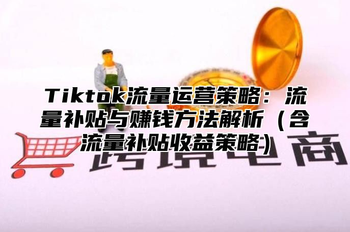 Tiktok流量运营策略：流量补贴与赚钱方法解析（含流量补贴收益策略）