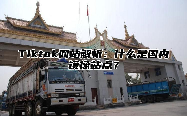 Tiktok网站解析：什么是国内镜像站点？