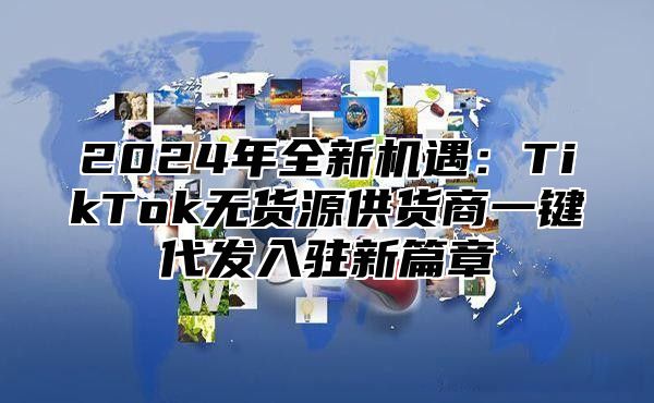 2024年全新机遇：TikTok无货源供货商一键代发入驻新篇章