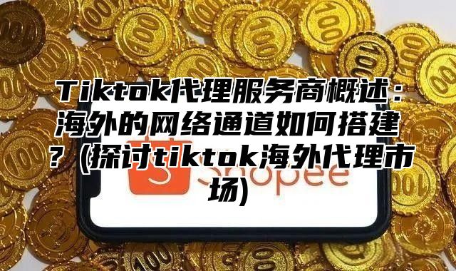 Tiktok代理服务商概述：海外的网络通道如何搭建？(探讨tiktok海外代理市场)