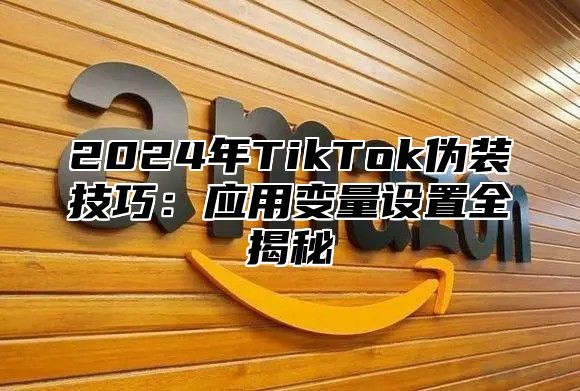 2024年TikTok伪装技巧：应用变量设置全揭秘