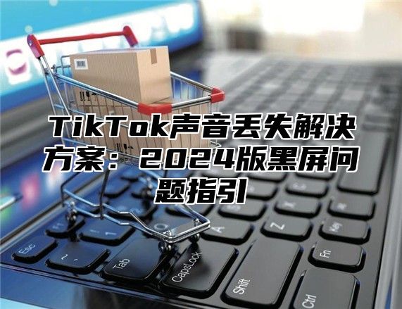 TikTok声音丢失解决方案：2024版黑屏问题指引