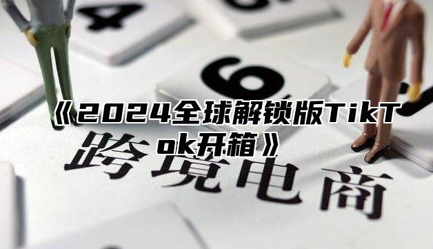 《2024全球解锁版TikTok开箱》