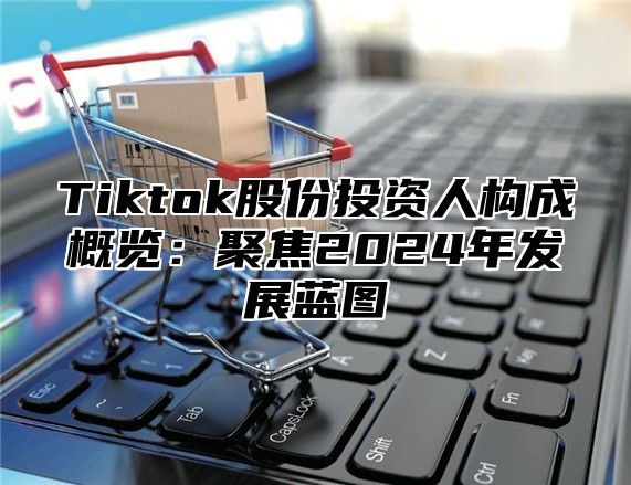 Tiktok股份投资人构成概览：聚焦2024年发展蓝图