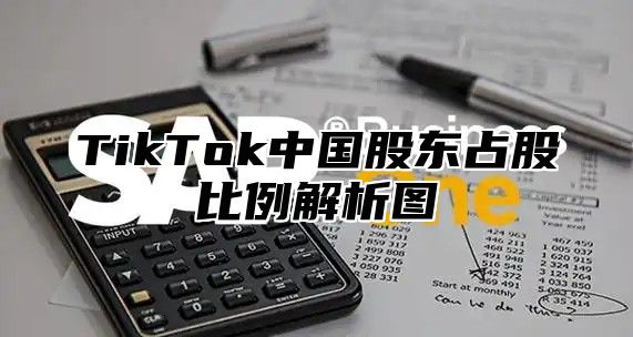 TikTok中国股东占股比例解析图