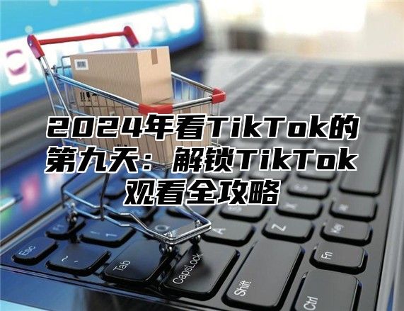 2024年看TikTok的第九天：解锁TikTok观看全攻略