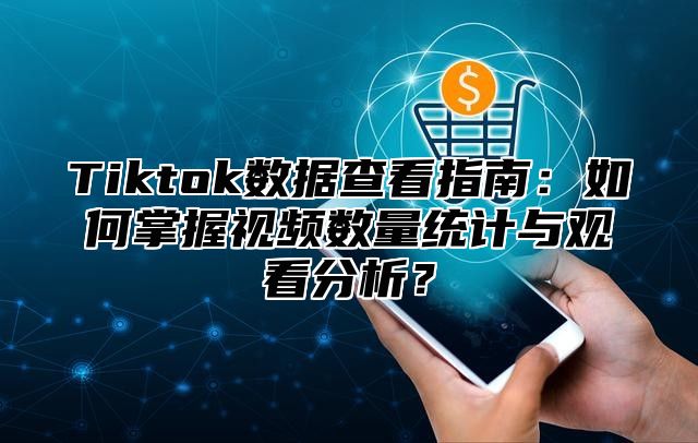 Tiktok数据查看指南：如何掌握视频数量统计与观看分析？