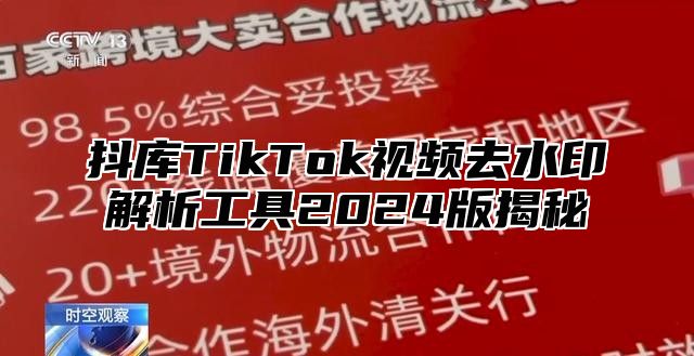 抖库TikTok视频去水印解析工具2024版揭秘