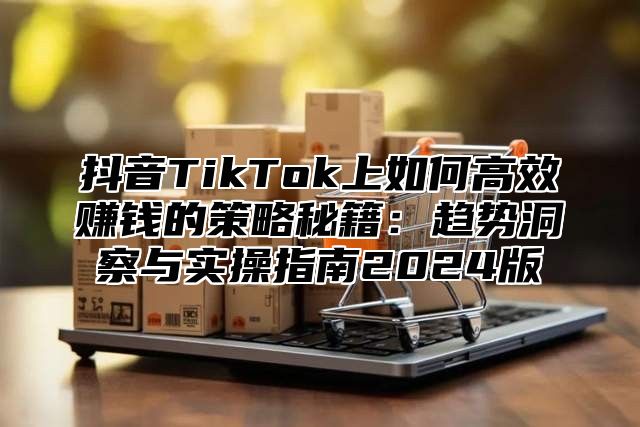 抖音TikTok上如何高效赚钱的策略秘籍：趋势洞察与实操指南2024版