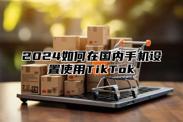 2024如何在国内手机设置使用TikTok