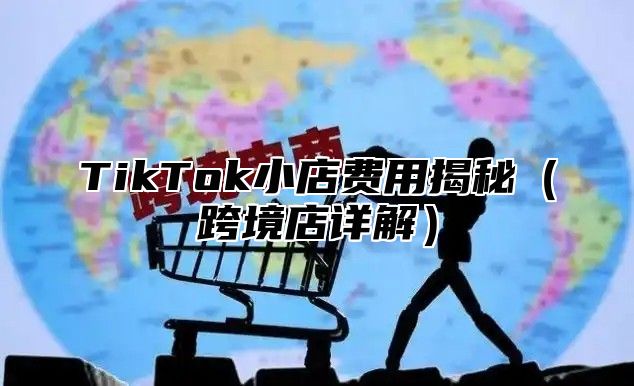 TikTok小店费用揭秘（跨境店详解）