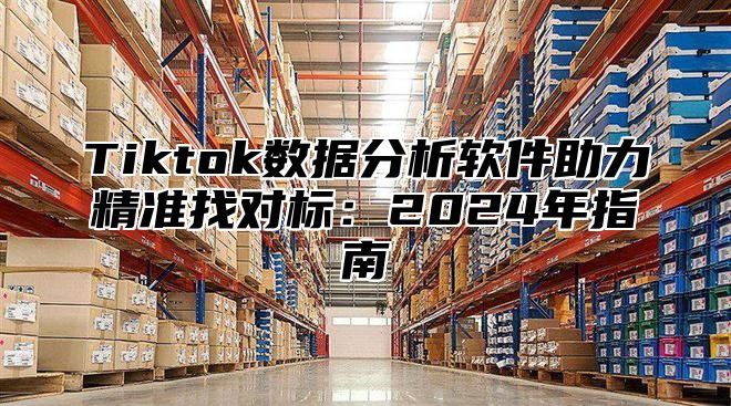 Tiktok数据分析软件助力精准找对标：2024年指南