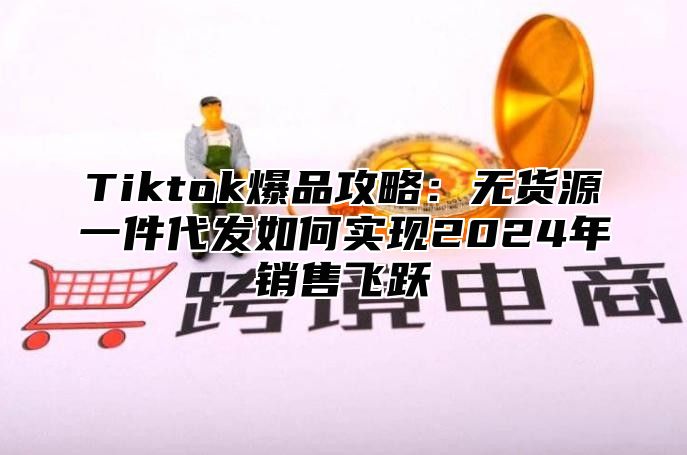 Tiktok爆品攻略：无货源一件代发如何实现2024年销售飞跃