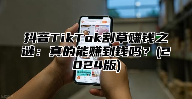 抖音TikTok割草赚钱之谜：真的能赚到钱吗？(2024版)