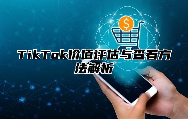 TikTok价值评估与查看方法解析