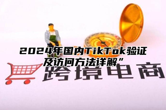 2024年国内TikTok验证及访问方法详解”