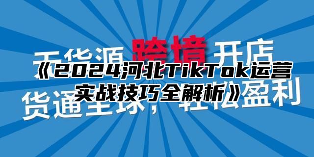 《2024河北TikTok运营实战技巧全解析》