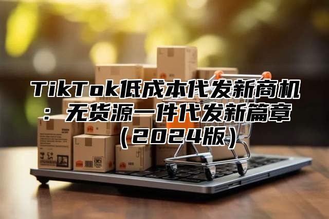 TikTok低成本代发新商机：无货源一件代发新篇章（2024版）