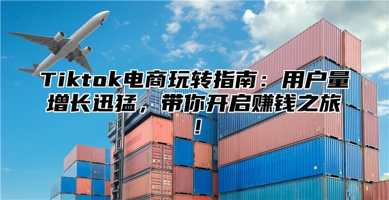 Tiktok电商玩转指南：用户量增长迅猛，带你开启赚钱之旅！