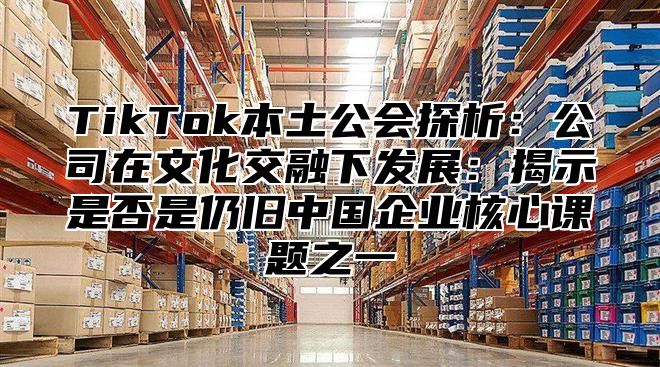 TikTok本土公会探析：公司在文化交融下发展：揭示是否是仍旧中国企业核心课题之一