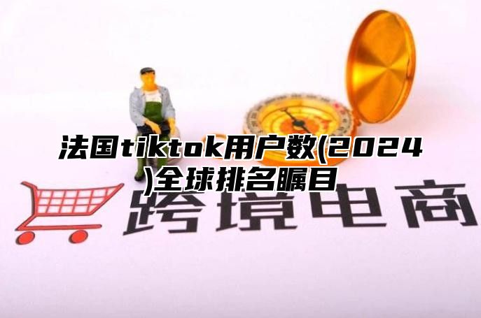 法国tiktok用户数(2024)全球排名瞩目