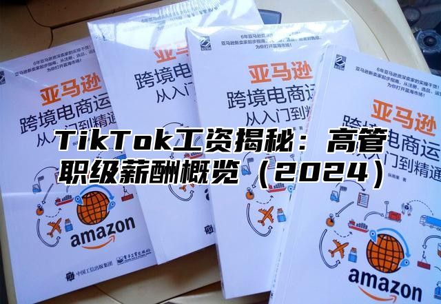 TikTok工资揭秘：高管职级薪酬概览（2024）