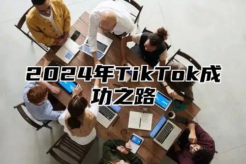 2024年TikTok成功之路