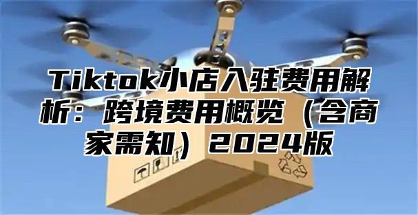 Tiktok小店入驻费用解析：跨境费用概览（含商家需知）2024版