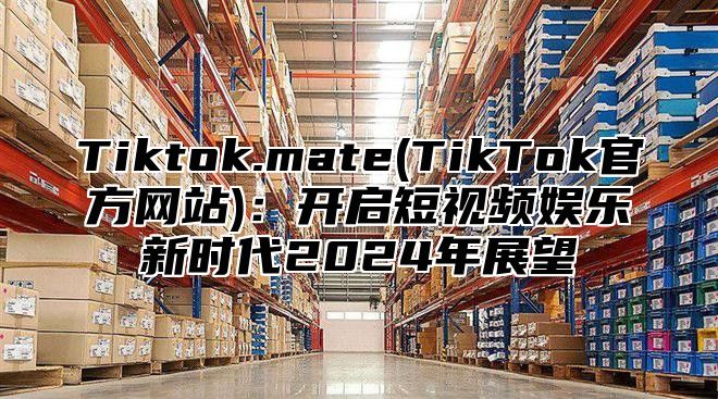 Tiktok.mate(TikTok官方网站)：开启短视频娱乐新时代2024年展望