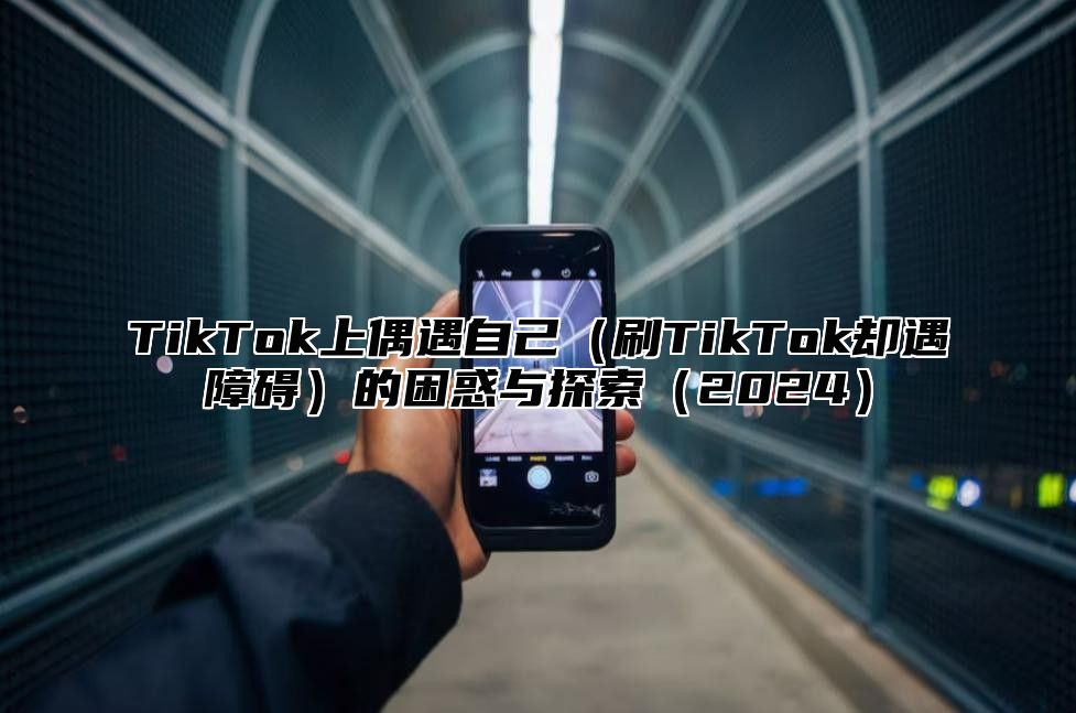 TikTok上偶遇自己（刷TikTok却遇障碍）的困惑与探索（2024）