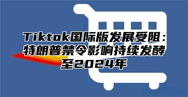 Tiktok国际版发展受阻：特朗普禁令影响持续发酵至2024年