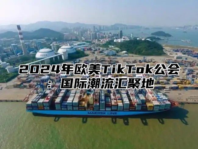 2024年欧美TikTok公会：国际潮流汇聚地