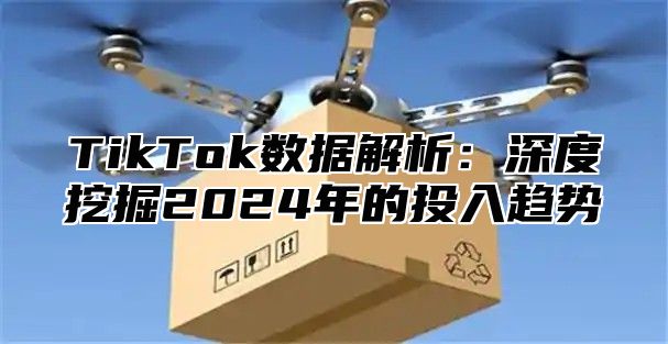 TikTok数据解析：深度挖掘2024年的投入趋势