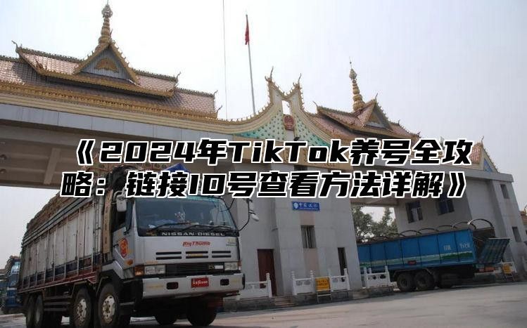 《2024年TikTok养号全攻略：链接ID号查看方法详解》