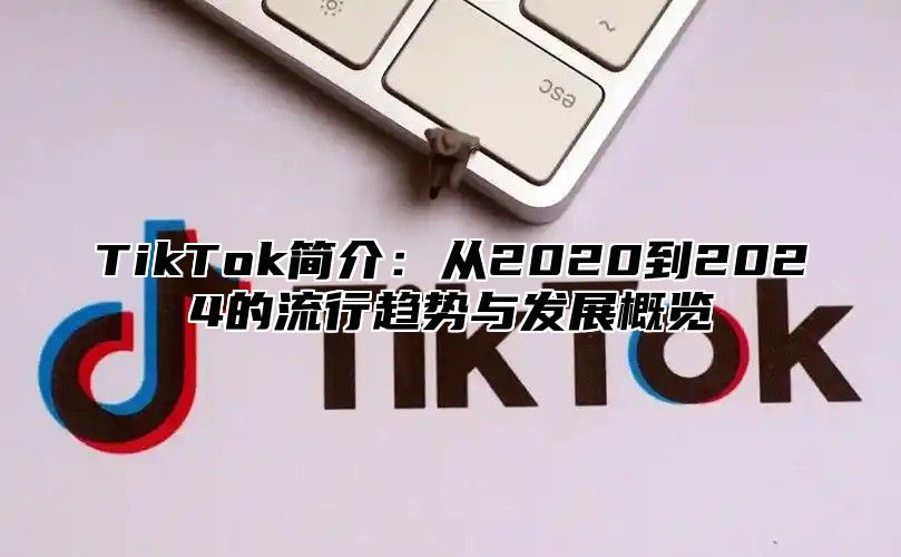 TikTok简介：从2020到2024的流行趋势与发展概览