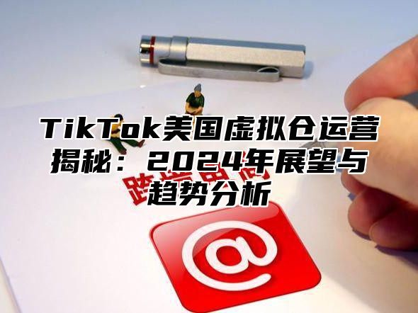 TikTok美国虚拟仓运营揭秘：2024年展望与趋势分析