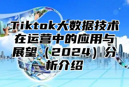 Tiktok大数据技术在运营中的应用与展望（2024）分析介绍