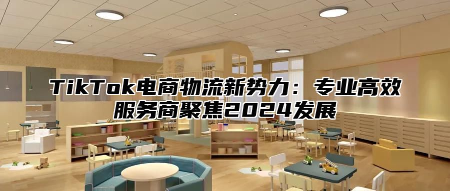 TikTok电商物流新势力：专业高效服务商聚焦2024发展