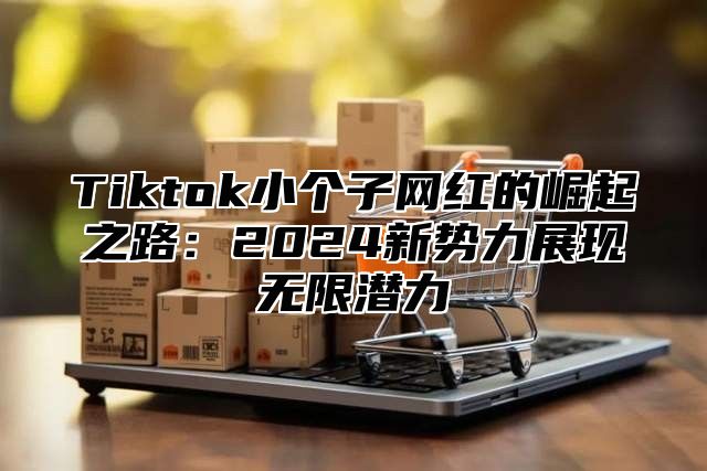 Tiktok小个子网红的崛起之路：2024新势力展现无限潜力